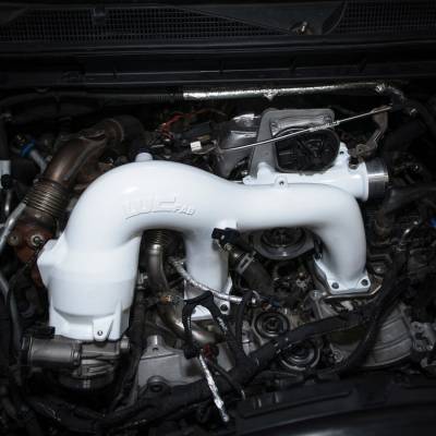 Gloss White