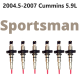 CMB L Sportsman Exergy Reman Injectors (set of 6)
